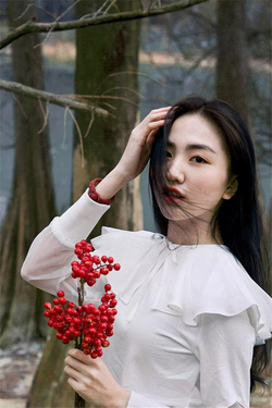 夜晚十大禁止应用管理工具